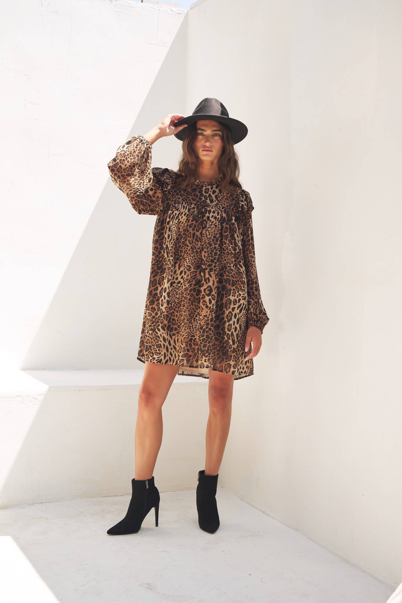 Leopard Sheer Chiffon Mini Dress