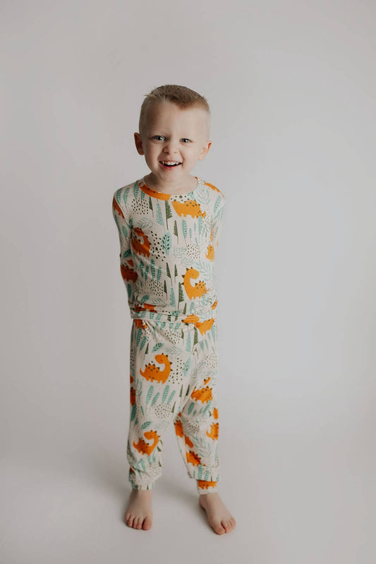 Dinosaur Jammies Kids Pjs & Lougewear