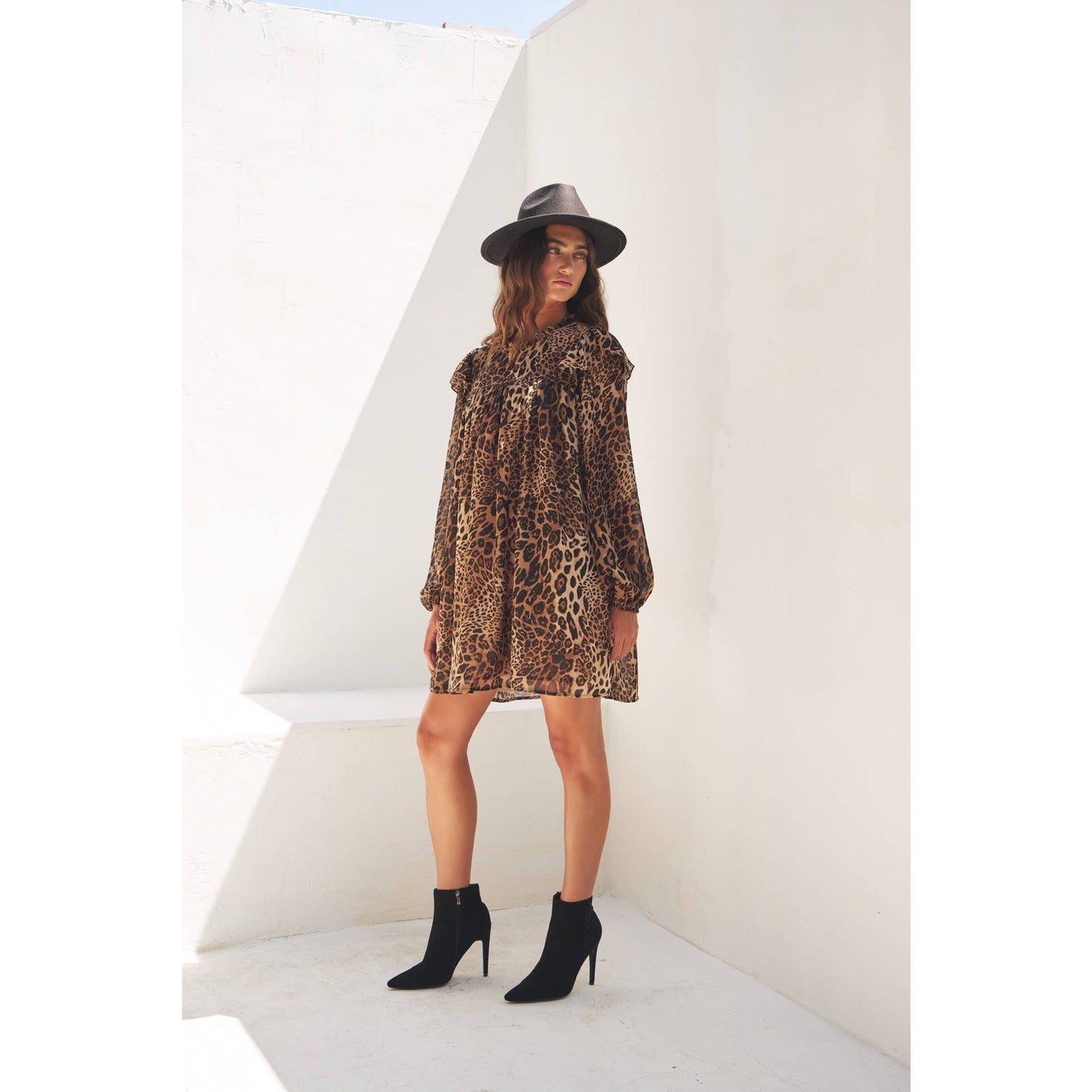 Leopard Sheer Chiffon Mini Dress