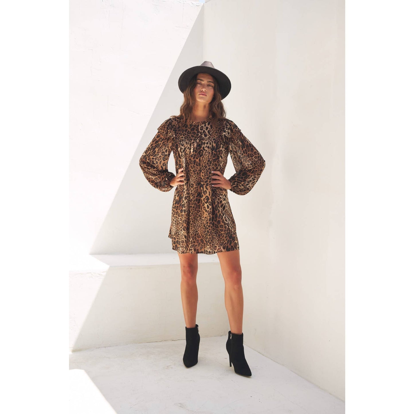 Leopard Sheer Chiffon Mini Dress