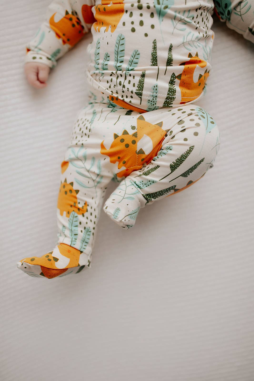 Dinosaur Jammies Kids Pjs & Lougewear