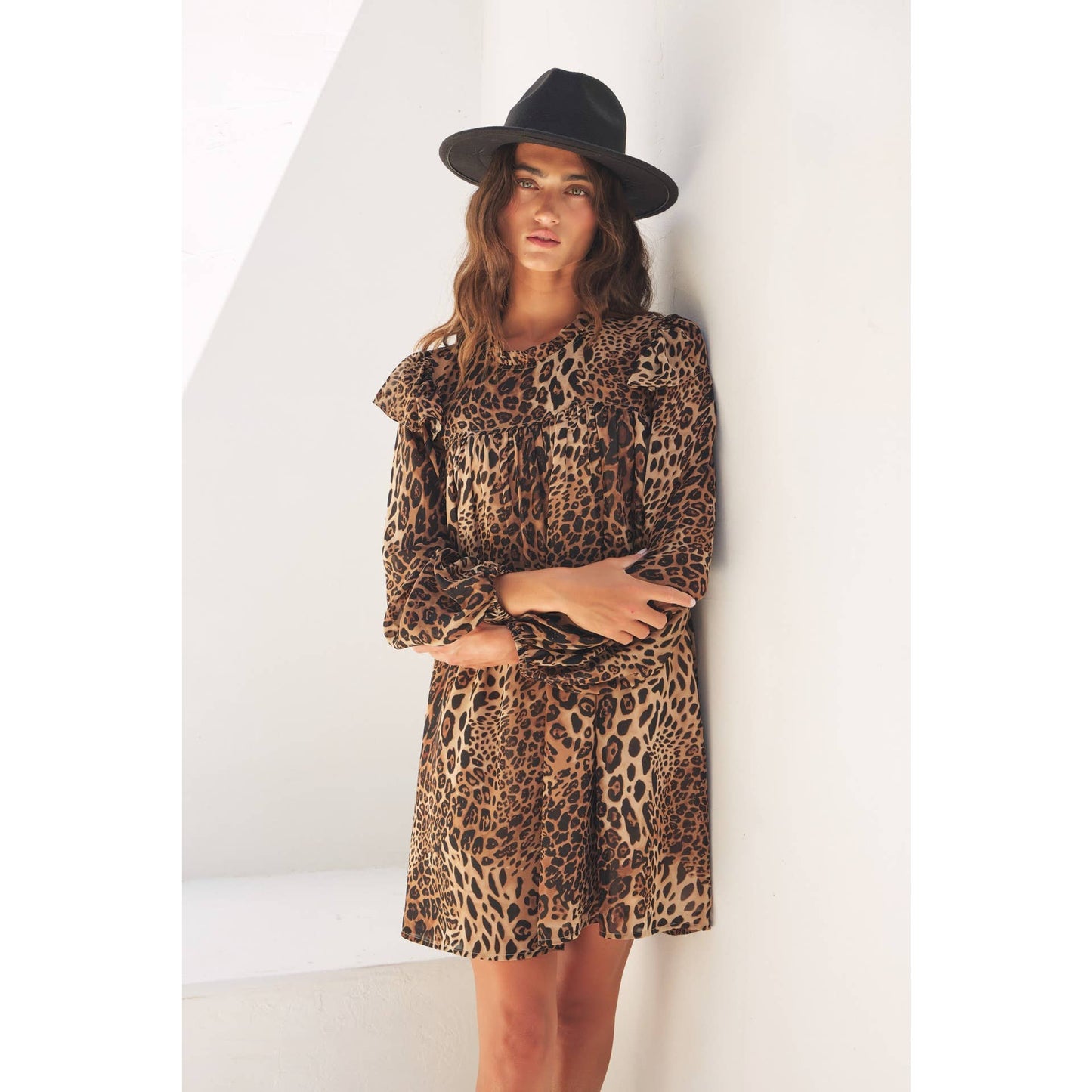 Leopard Sheer Chiffon Mini Dress